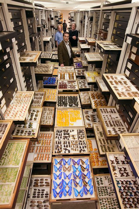 Inside The Archives Storage At The Smithsonian Natural History Museum