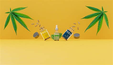 The 10 Best Cbd Brands Of 2020 Key To Cbd Trusted Cbd Reviews And