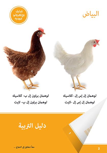 نظام التسكين على الأقفاص Lohmann Breeders