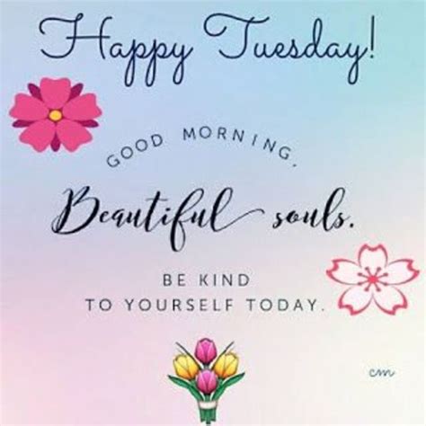 10 Very Beautiful Tuesday Images With Quotes Tuesday Quotes Good Morning Tuesday Happy