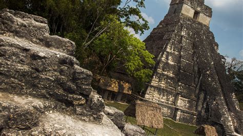 Mystery Maya And An Ancient Civilization At Tikal G Adventures