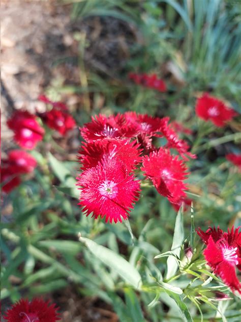 Joelle Gross (@JoelleGross13) / Twitter