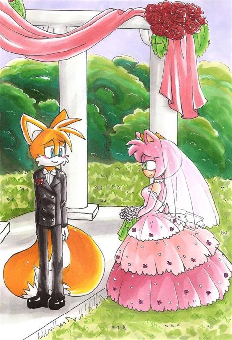 A Tails And Amy Wedding By Hopelessromantic721 Amy Rose Hedgehog Art