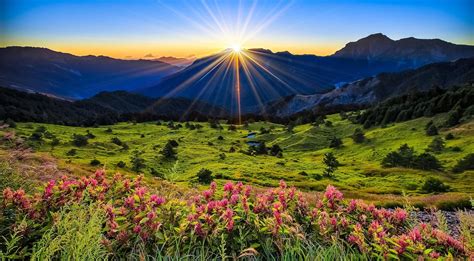 Fondos De Pantalla Luz De Sol Paisaje Montañas Flores Colina