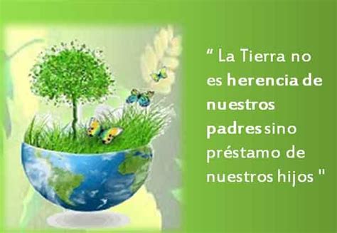 Imágenes Frases Y Reflexiones Para El Día Del Medio Ambiente