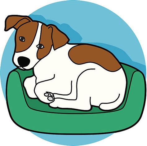 Dog Lying On Bed Illustrations Royalty Free Vector Graphics And Clip Art
