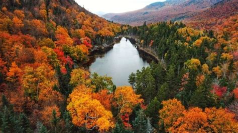 25 Stunning Fall Foliage Photos Taken By Readers