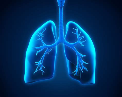Lunge Lungenfachärztliche Gruppenpraxis
