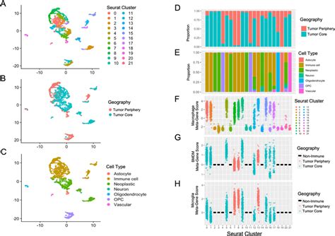 Umap Clustering Of Single Cell Data With Seurat Cells Are Clustered In