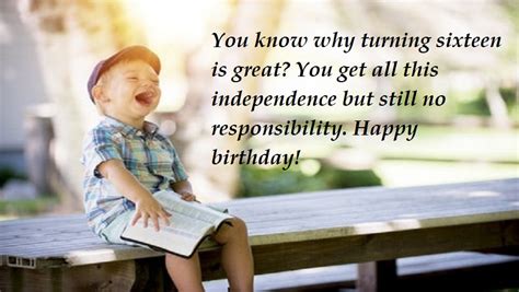 Funny 16th Birthday Wishes And Pictures Vitalcute