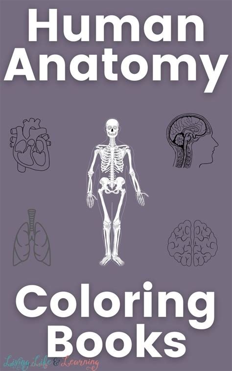 Human Anatomy Coloring Book Free Homeschool Deals
