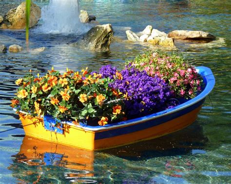 Floating Boat Gardens Taken At Busch Gardens In Tampa Fl Сад