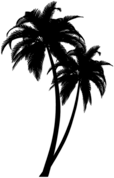 Free Png Download Black Palm Tree Png Images Background Clipart Full