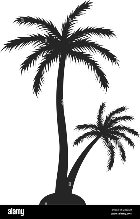 Palm Tree Graphic Design Template Vector Isolated Stock Vector Image