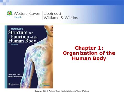 Ppt Chapter 1 Organization Of The Human Body Powerpoint Presentation