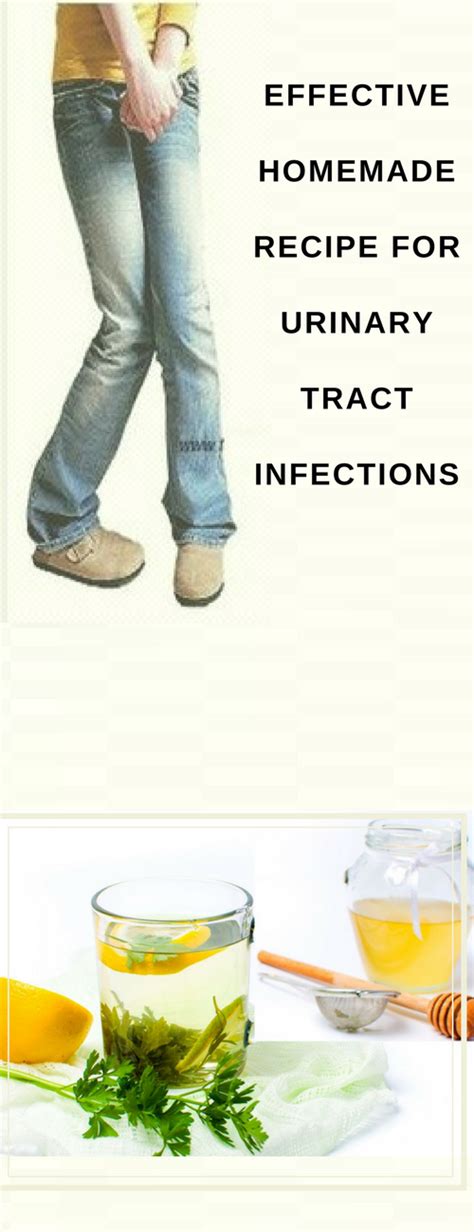 Effective Homemade Recipe For Urinary Tract Infections Urine