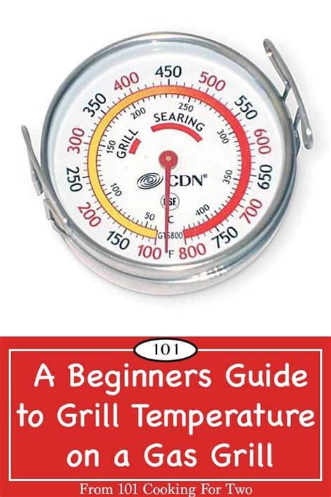 We did not find results for: A Beginners Guide to Grill Temperature on a Gas Grill ...