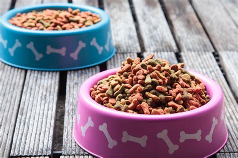 Maybe you would like to learn more about one of these? Top 10 Dog Food Myths