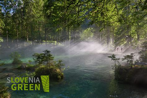 Predstavitev Pozivov Za Vstop V Zeleno Shemo Slovenskega Turizma 2024