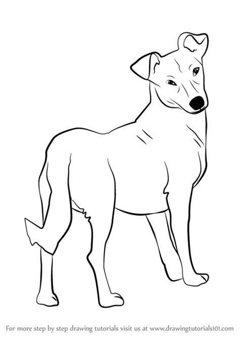 Cute Dog Anime Drawing At Getdrawings Free Download