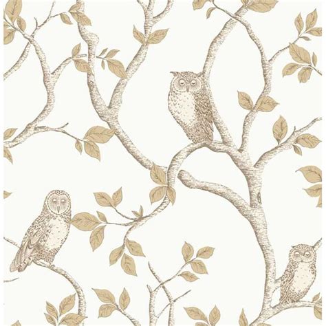 Fine Decor Medley 564 Sq Ft Natural Paper Trail Unpasted Wallpaper At