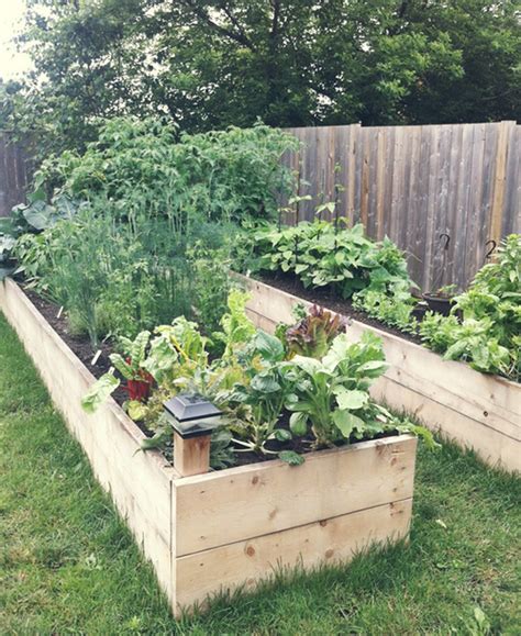 Raised garden bed plans and kits come in different styles and once you've mastered the gardening technique, you can make a raised garden bed to plant crowds of using a kit requires no special tools or advanced skills to assemble the container. DIY Easy Access Raised Garden Bed | The Owner-Builder Network
