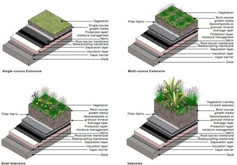 An Illustration Of The Four Green Roof Types And Their Components