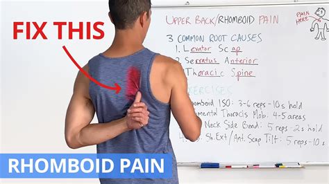 How To Fix Upper Back Rhomboid Pain For Good Effective Exercises