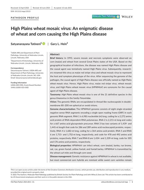 Pdf High Plains Wheat Mosaic Virus An Enigmatic Disease Of Wheat And
