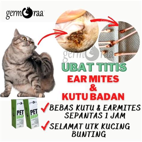 Ear Mites Anti Fleas Lice Tick In Cats Ubat Kutu Kucing Kutu Telinga