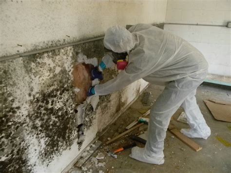 Then spray it on the areas. Mold Removal Company Rochester NY | Mold Inspection ...