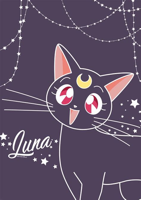Sailor Moon With Luna Wallpapers Wallpaper Cave