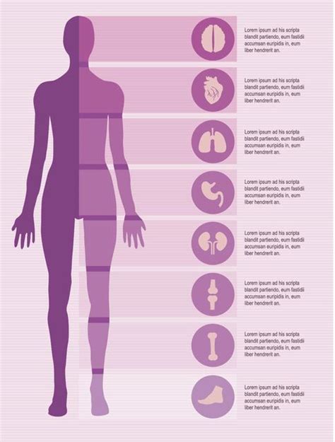 Infographics Resources Of Female Human Body To Use In Material Related