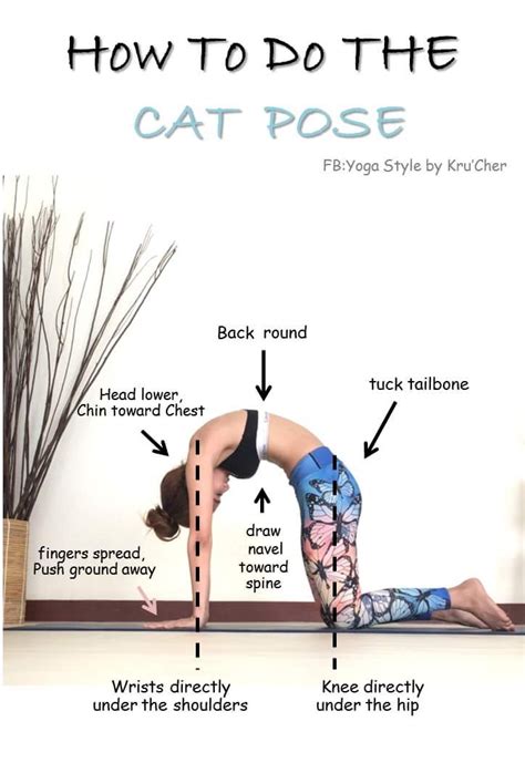 Pin By Esther Nadya On Exercise In Basic Yoga Yoga Asanas Cat