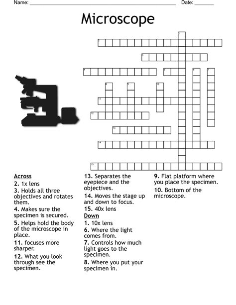 Parts Of The Microscope Crossword Wordmint