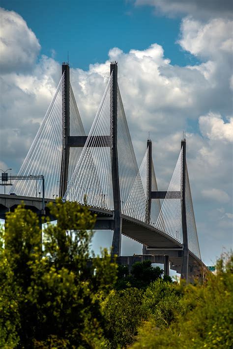 Talmadge Memorial Bridge In Savannah Georgia Photograph By Alex