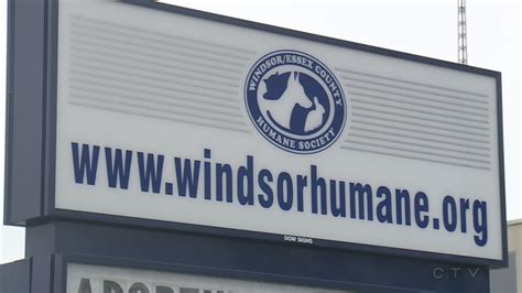 Windsor-Essex Humane Society to help Amherstburg with dog services ...