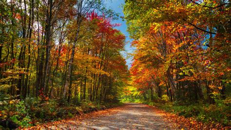 Interactive Map Shows Best Days To See Fall Foliage