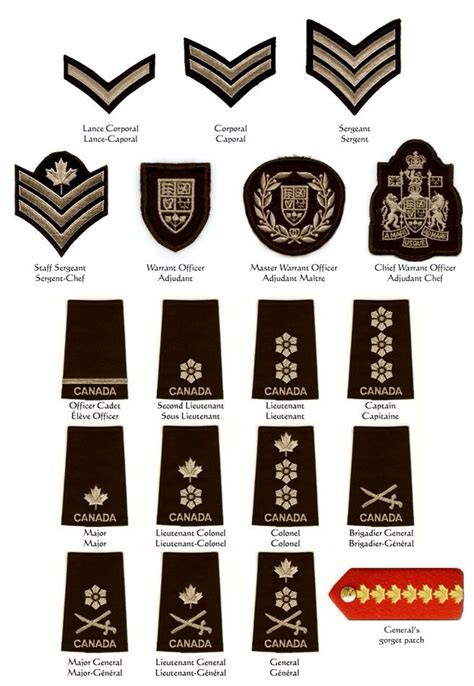Back To The Old British Style Rank Structure Staff Sergeant Warrant