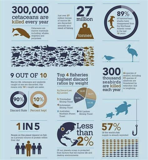 Threats To Oceans Save The Oceans Save The Earth Infographic Save