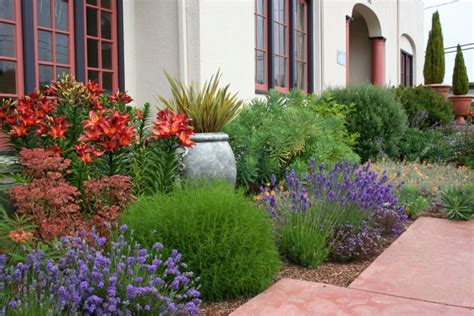 Ein mediterraner garten bringt den urlaub nach hause: Mediterraner Garten - Beispiele für Blumen und Pflanzen