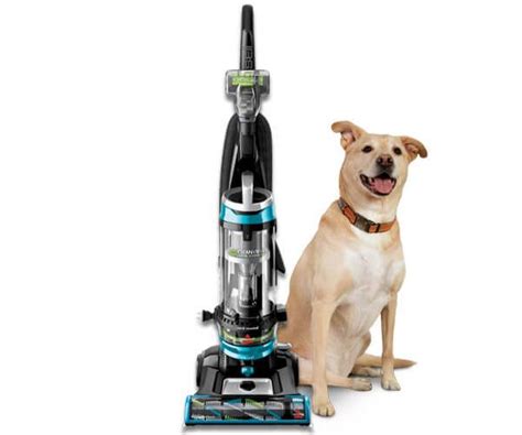 Bissell Cleanview Swivel Rewind Pet Vacuum Cleaner 2256