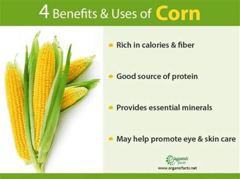 Proven Benefits Of Corn Organic Facts