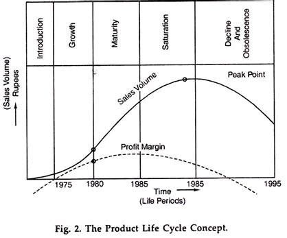 emocional Accesible Órgano digestivo product life cycle graph cuenca Gobernador casado