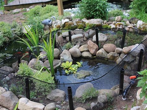 How To Build A Backyard Pond For Turtles Newspaper Gallery