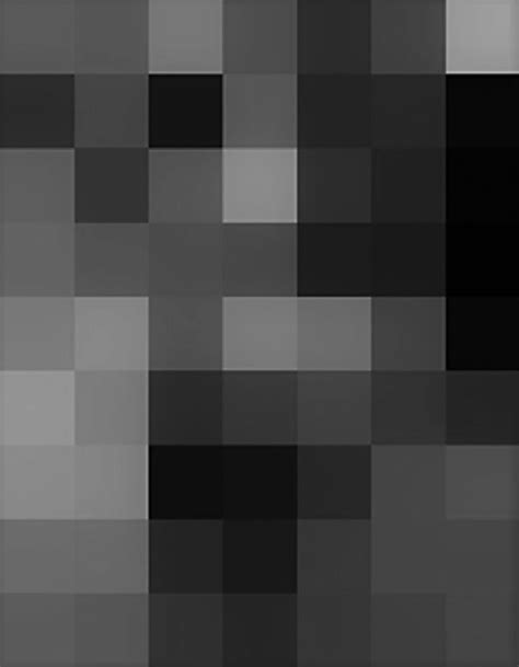 Picture Represented With 56 Gray Pixels Download Scientific Diagram