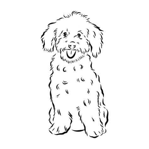 Premium Vector Labradoodle Mix Dog Vector Isolated Illustration On