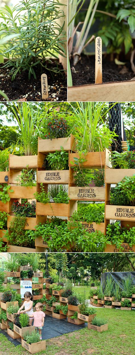 The Edible Garden Project Goasia