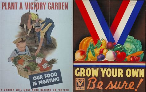 Victory Gardens The Antidote To Uncertainty Off Grid World