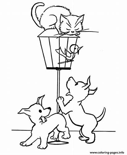 Coloring Cage Pages Cat Animal Stuck Printable